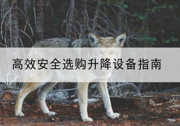 麻栗坡升降货梯厂家推荐-*安全选购升降设备指南