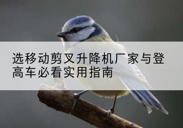 麻栗坡电动升降机厂家-选移动剪叉升降机厂家与登高车必看实用指南