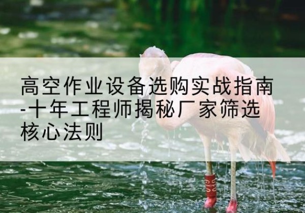 麻栗坡剪叉式升降机厂家-高空作业设备选购实战指南-十年工程师揭秘厂家筛选核心法则